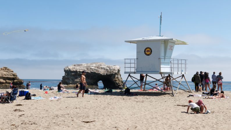 Santa Cruz - National Bridges Beach Park