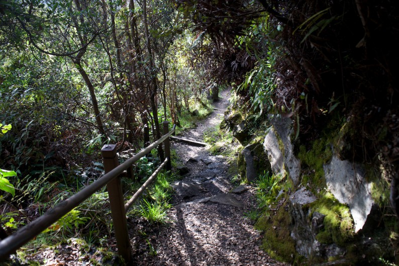 Big Island - Hawaii Volcanoes NP - Trail zum Krater