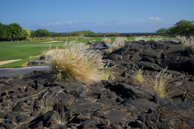 Big Island - Kona - Hulaila Golfplatz (2)