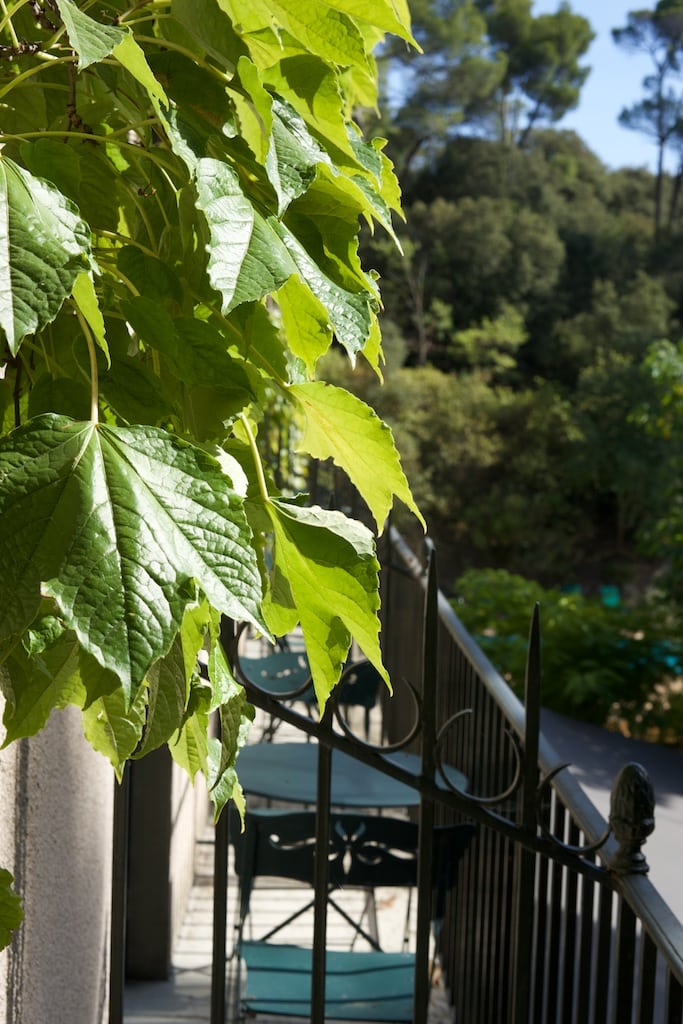 carcassonne-domaine-dauriac-blick-aus-dem-fenster