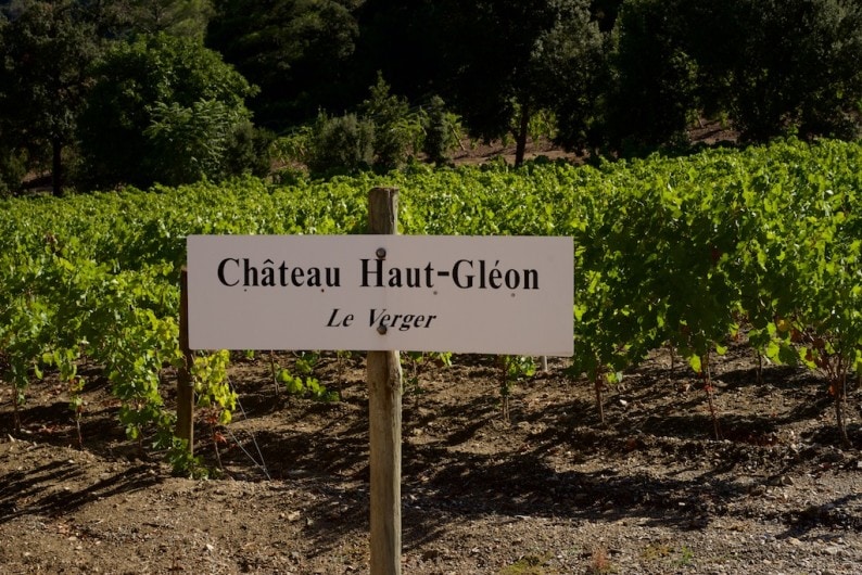 chateau-haut-gleon-weinberge