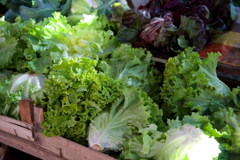 Da bekommt man Lust auf Salat - Wochenmarkt in Zadar