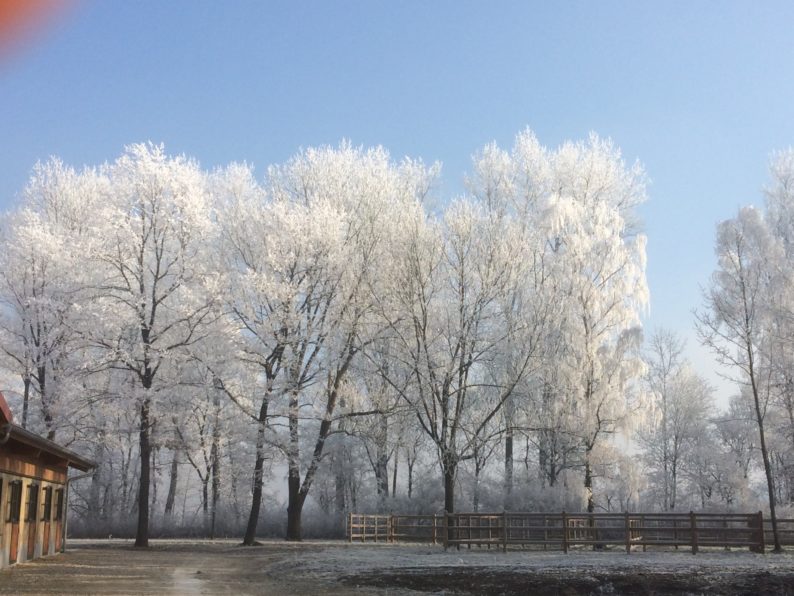 Dachauer Moos im Winter