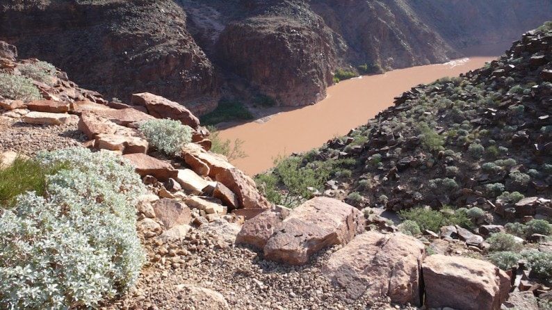 Grand Canyon - Blick auf den Colorado River (1)