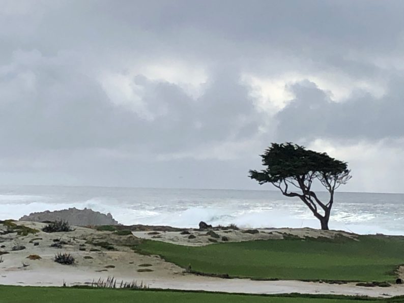 17 Mile Drive - Carmel by the Sea