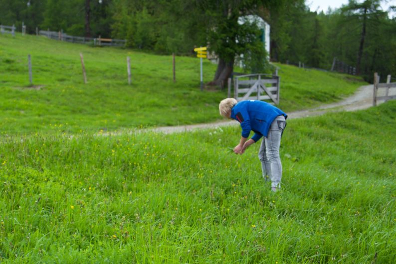 Sabine Lechner beim Kräutersuchen vor der Alm