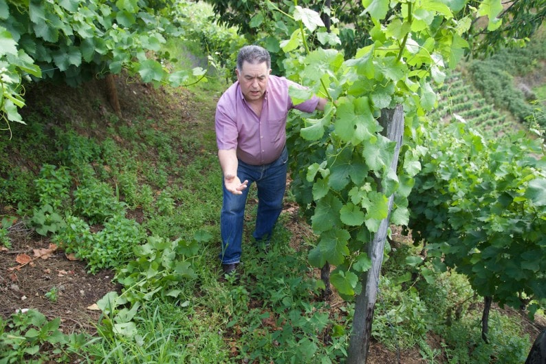 La Galiana - Anton Chicote