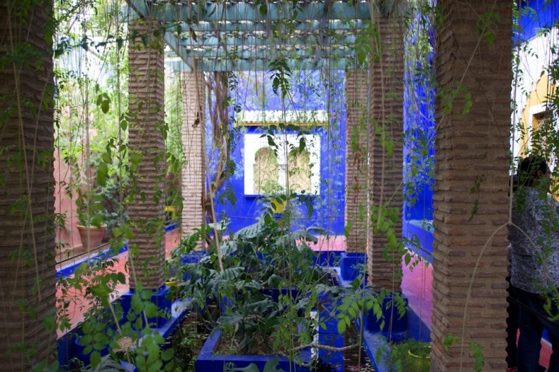 Marrakech - Jardin Majorelle