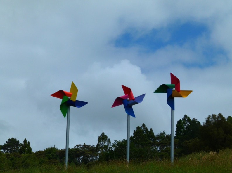 Matakana - Brick Bay Sculpture Trail