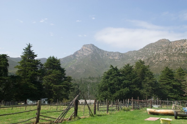 Montagu Pass - Herold Wines