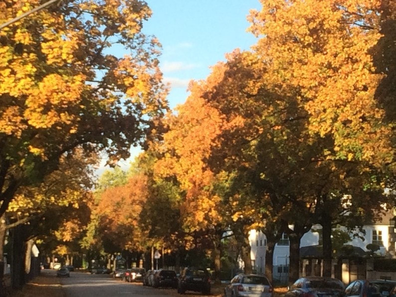 oktober-in-der-mauerkircherstrasse