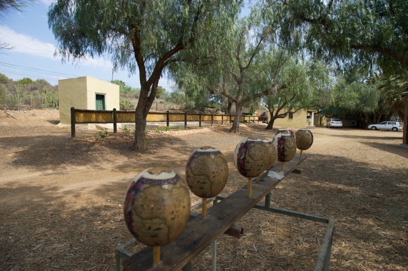 Oudtshoorn - Highgate Farm - Straußeneier bemalt