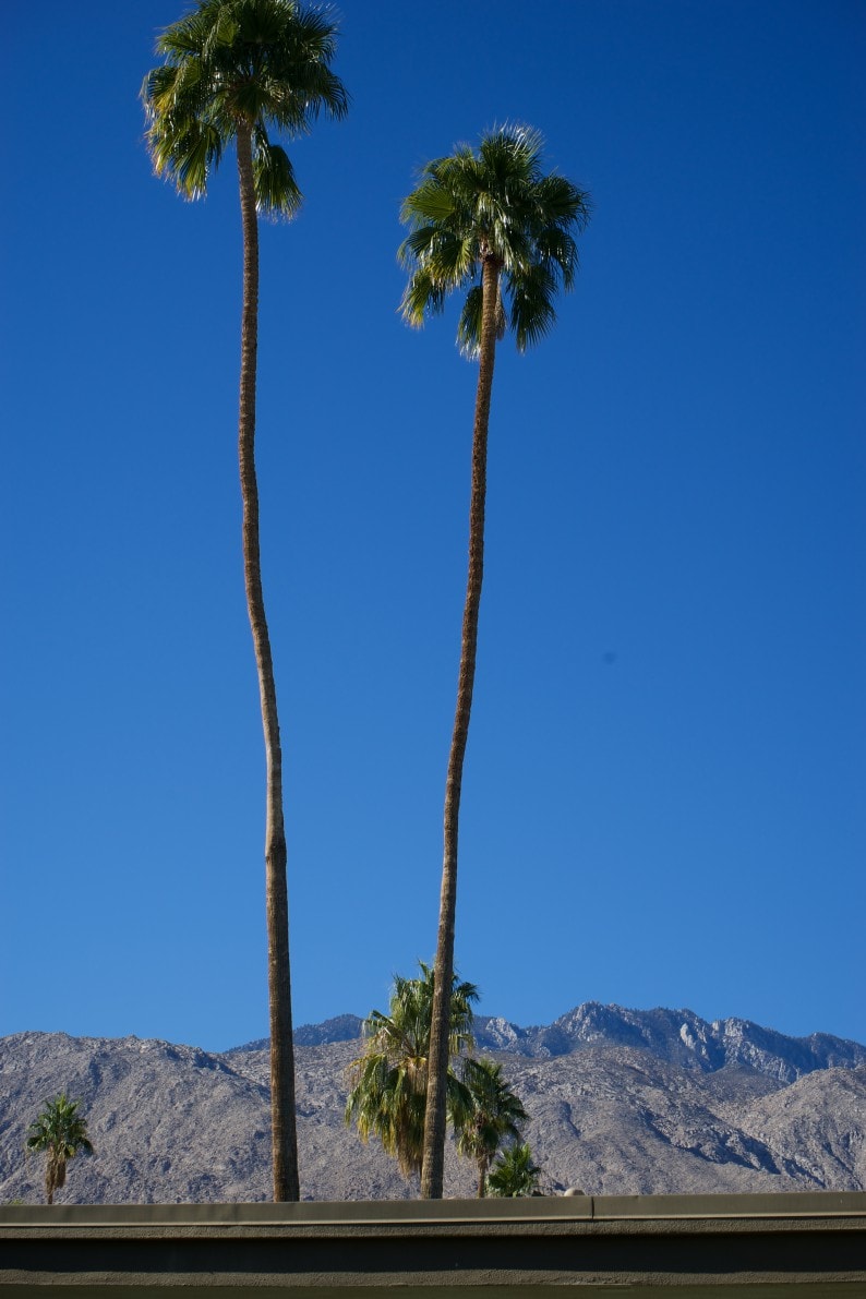 Palm Springs - Frank Sinatra - Twin Palms