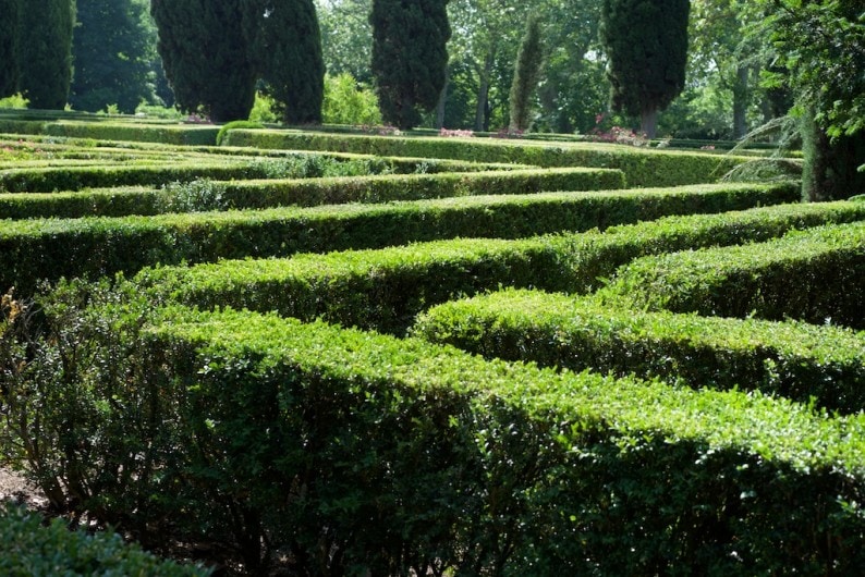 Parque del Capricho - Labyrinth