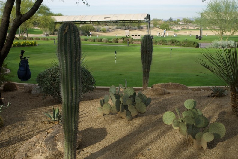 Phoenix - Westin Kierland Resort Driving Range