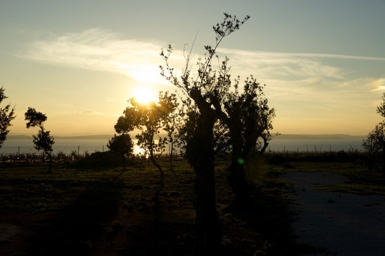 Punta Skala - Kraljevski Vinogradi - Sonnenuntergang