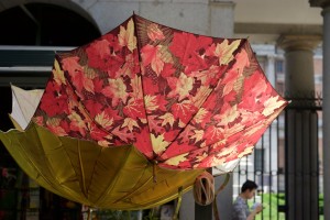Real Jardin Botanico - amüsante Schirme am Eingang 