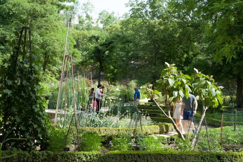 Real Jardin Botanico - im Kräutergarten