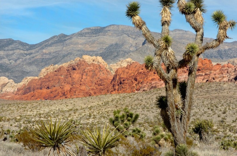 Red Rock Canyon 2/4/06