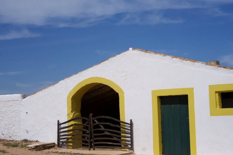 Reserva la Concepio - Trockenmauer im Norden