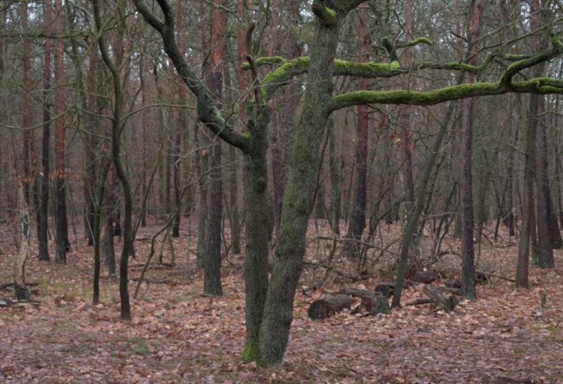 S-chanf - Galerie von Bartha - Fotos von Florian Slotawa