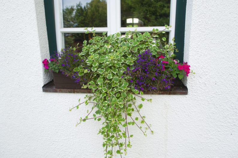 Schloßhotel Oberambach - am Naturteich