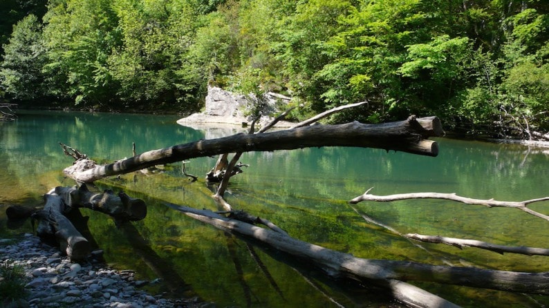 Selva de Irati - Pozzo de Itsusin