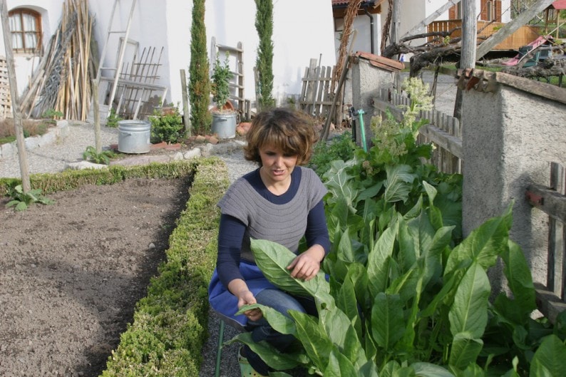 Südtirol Schenna Prisk Weger im Kräutergarten