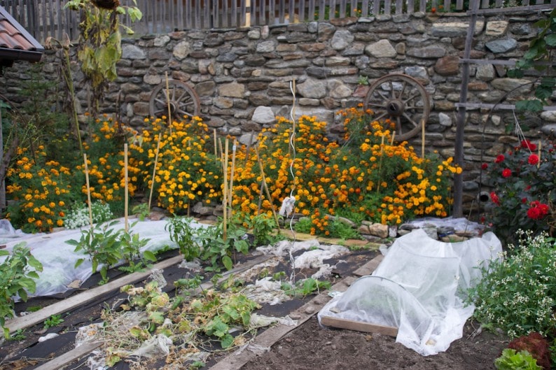 Südtiroler Bauerngarten