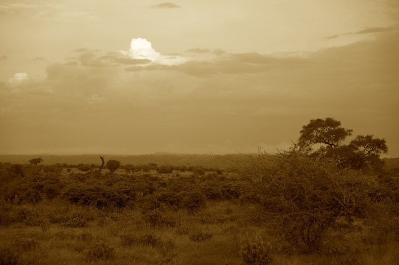 Tanzania - Ruaha NP - Abendhimmel