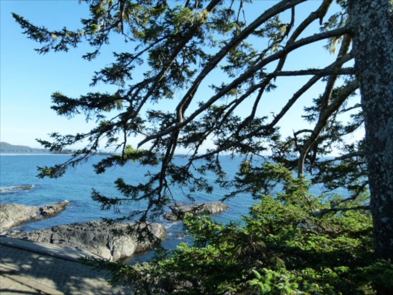 Tofino - Blick aus dem Fenster des Wickaninnish Inn