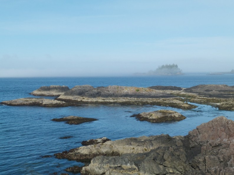 Tofino - Wickaninnish  Inn - Blick aus dem Fenster