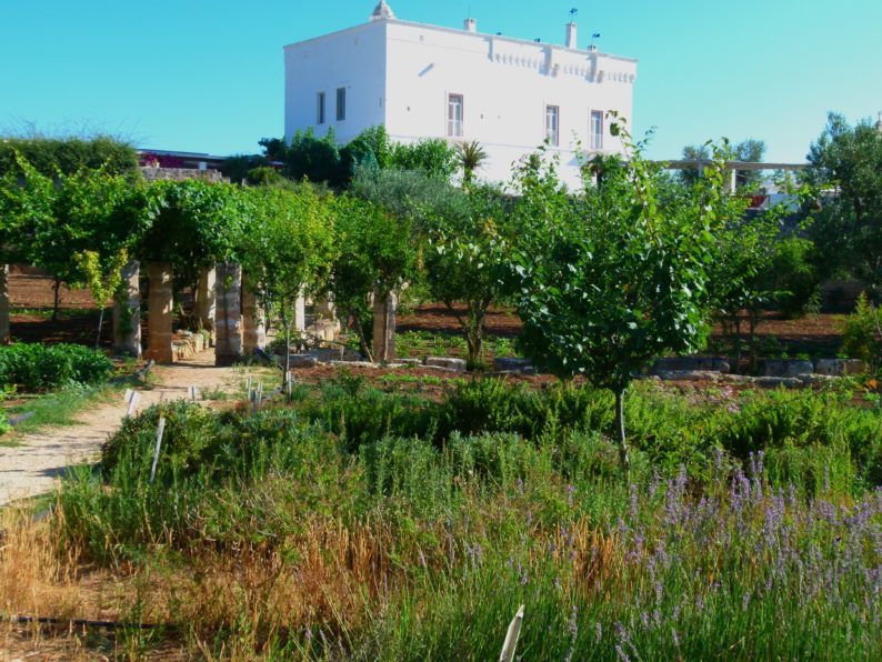 Torre Maizza - der Garten