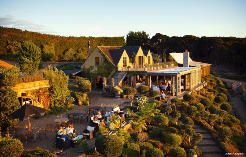 Waiheke Island Vineyard Restaurant