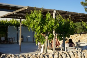 Weingut Binifadet - auf der Terrasse