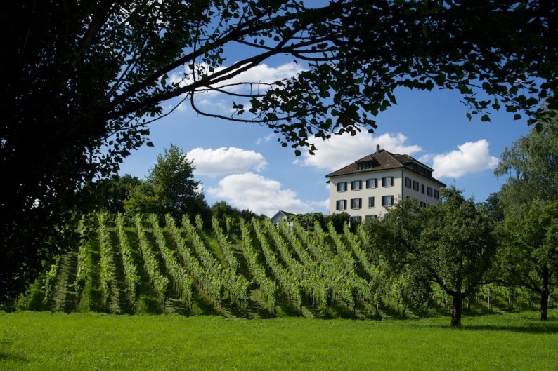 Weingut Landolt